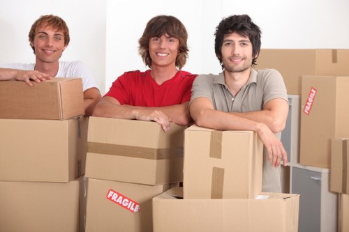 Local moving vehicle for flat and house removals