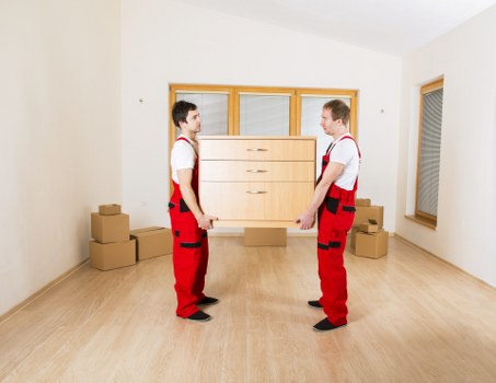 Van and driver representing a professional moving service